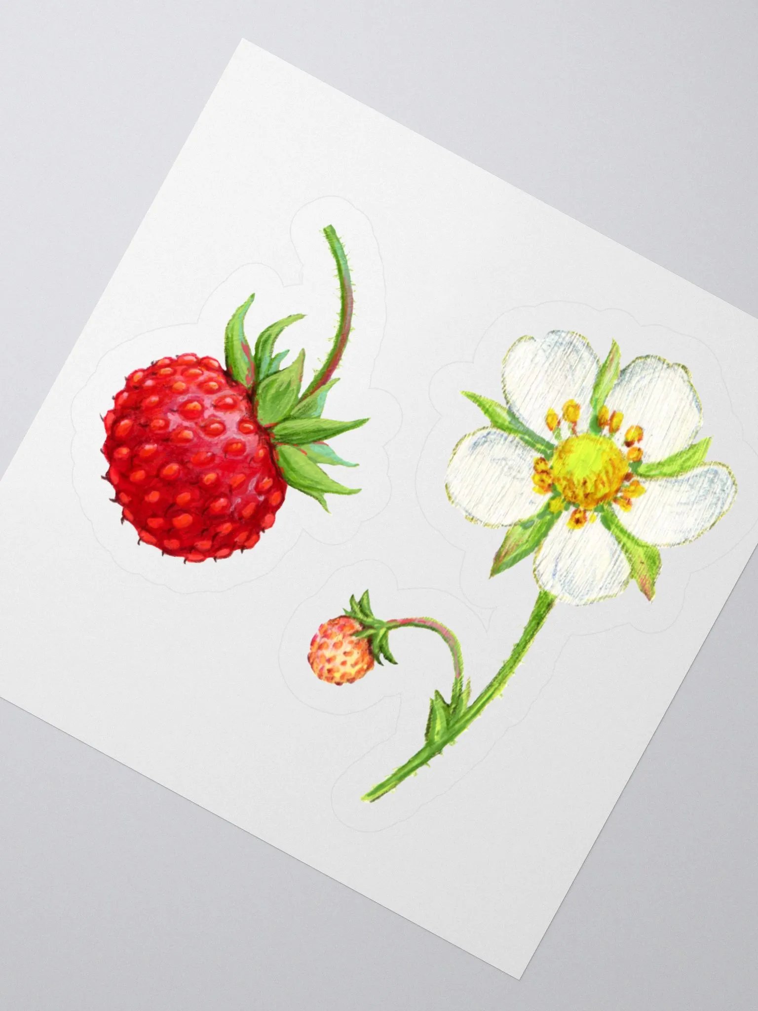 Wild strawberry and flower stickers product image (4)