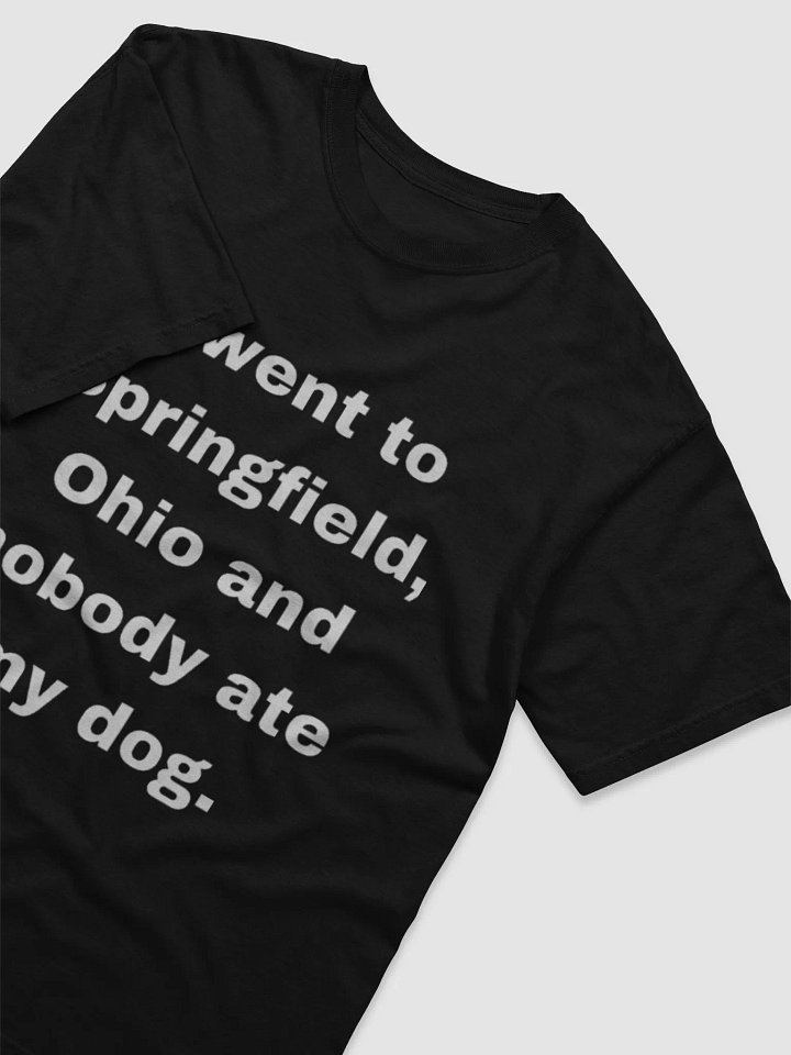 Springfield, Ohio Statement Tee product image (2)