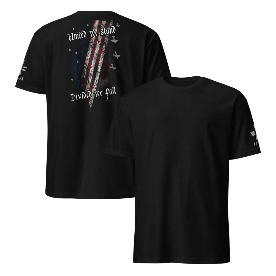 United We Stand, Divided We Fall product image (13)