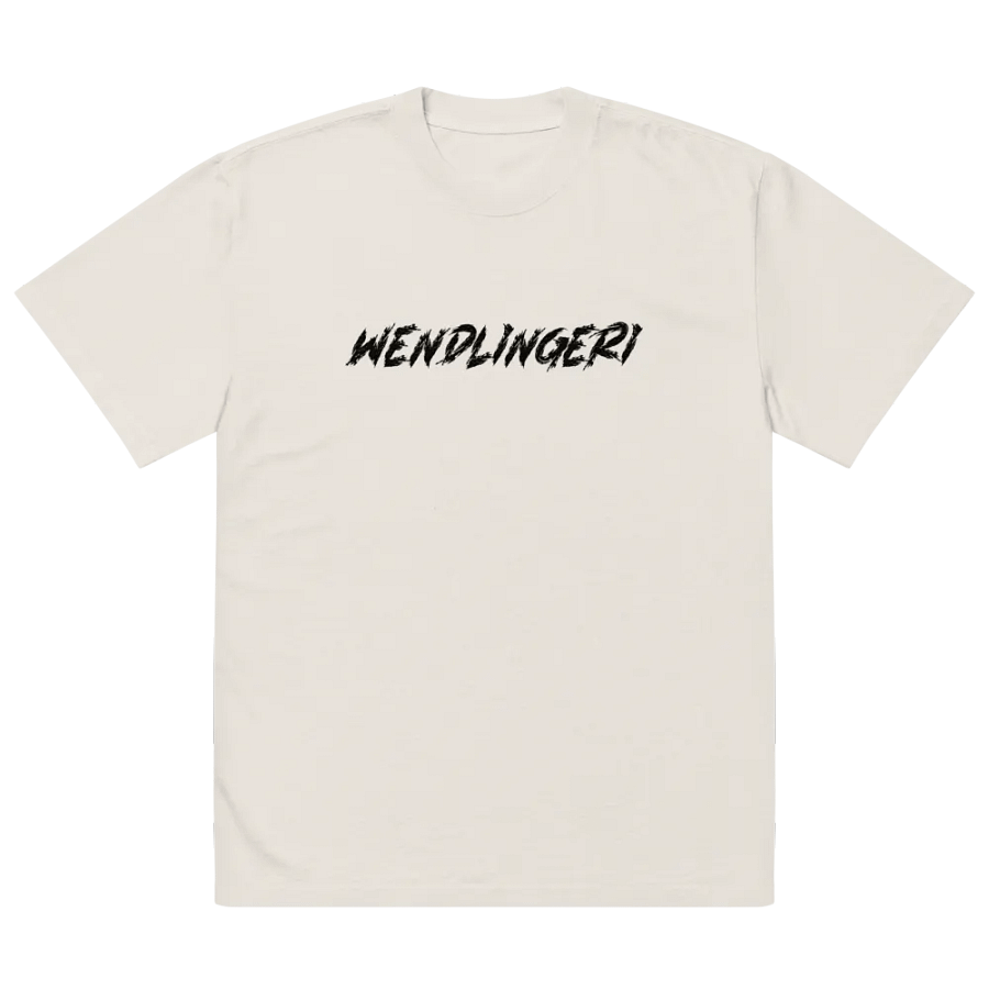 WENDLINGERI 🌀 oversized tee product image (5)