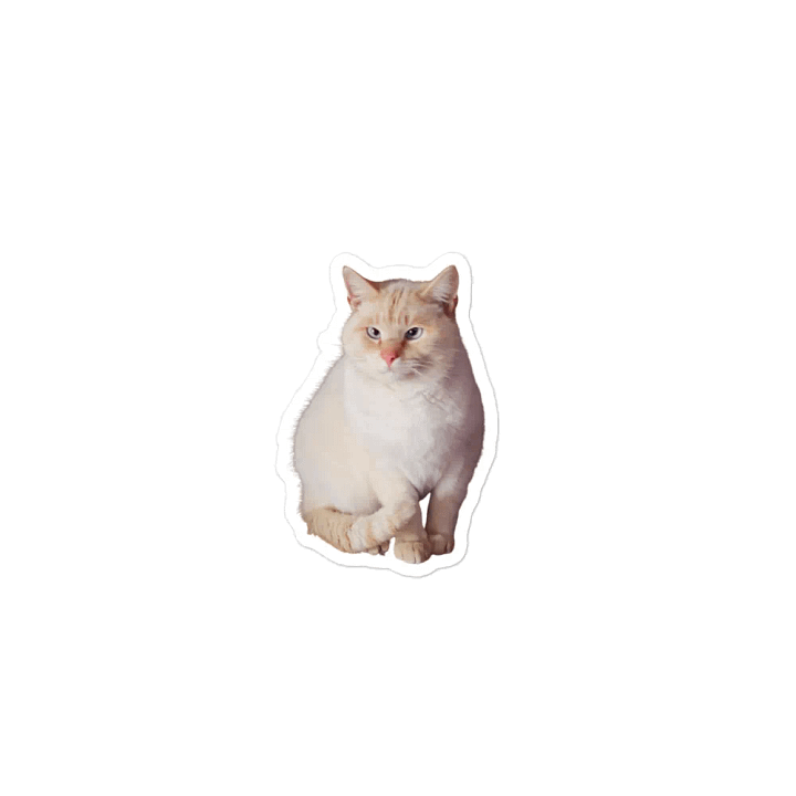 Paws The Cat Magnet product image (2)