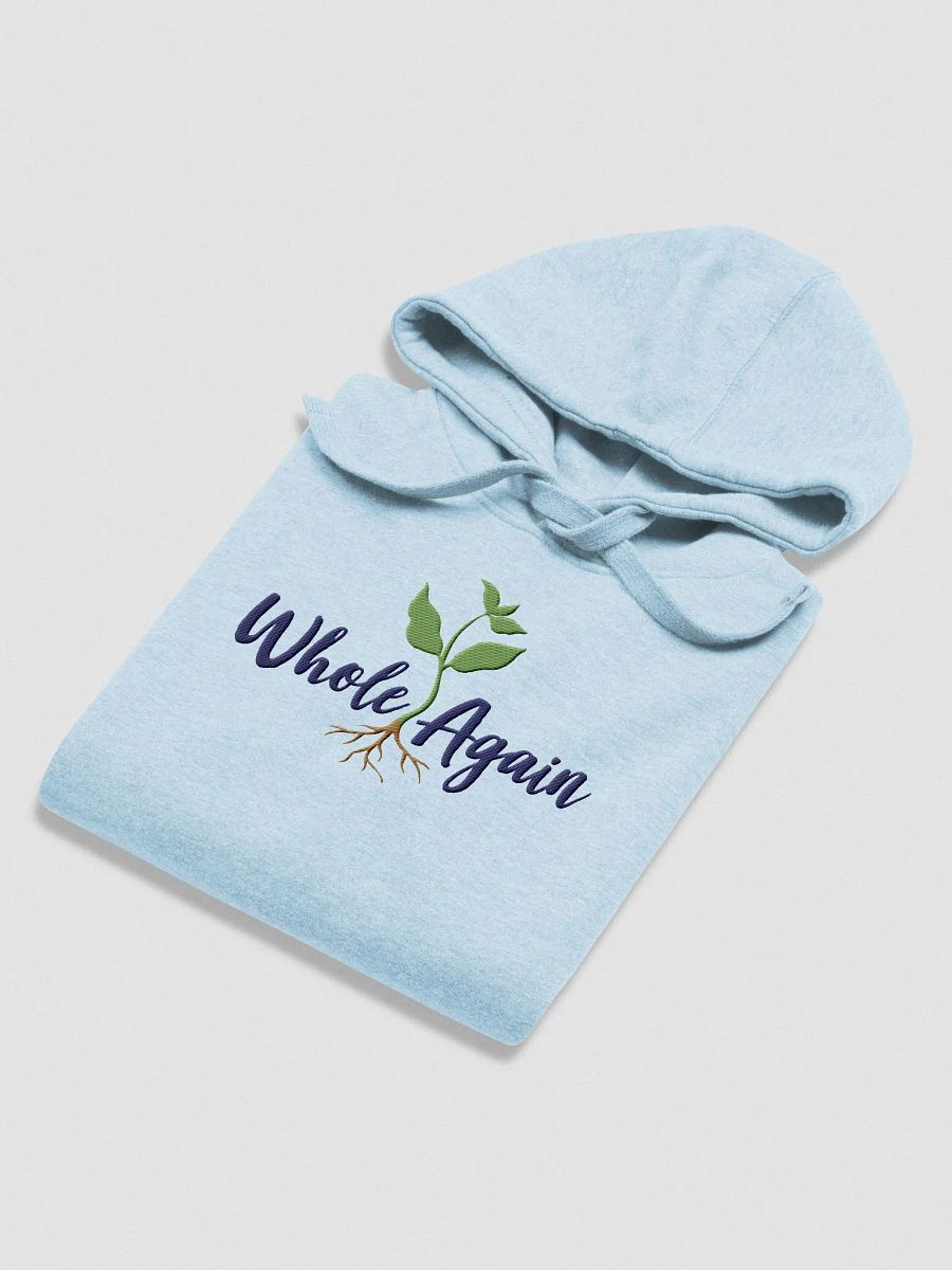 Whole Hoodie - Blue Logo product image (16)