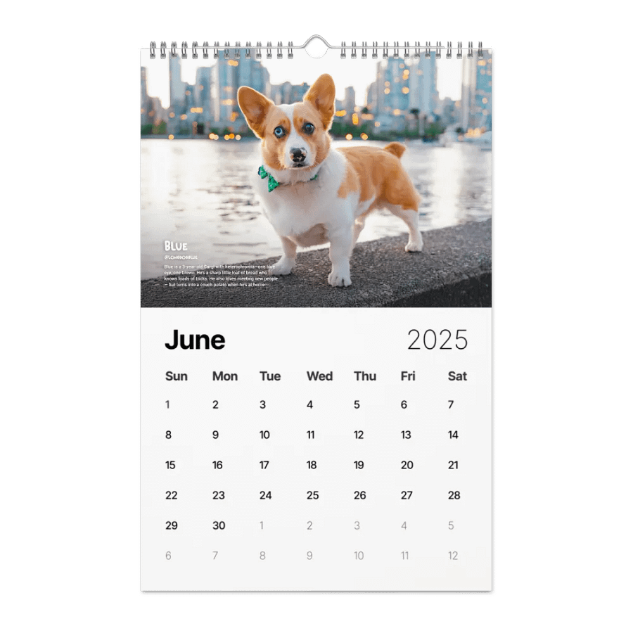 Official 2025 Calendar product image (8)