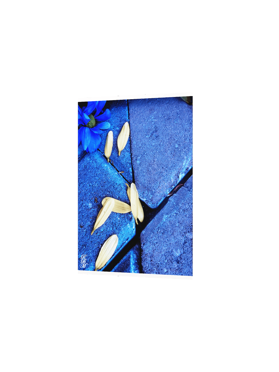 Blue Flower and Yellow Petals product image (4)