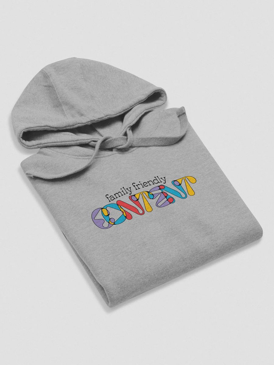 Family Friendly Content Hoodie product image (6)