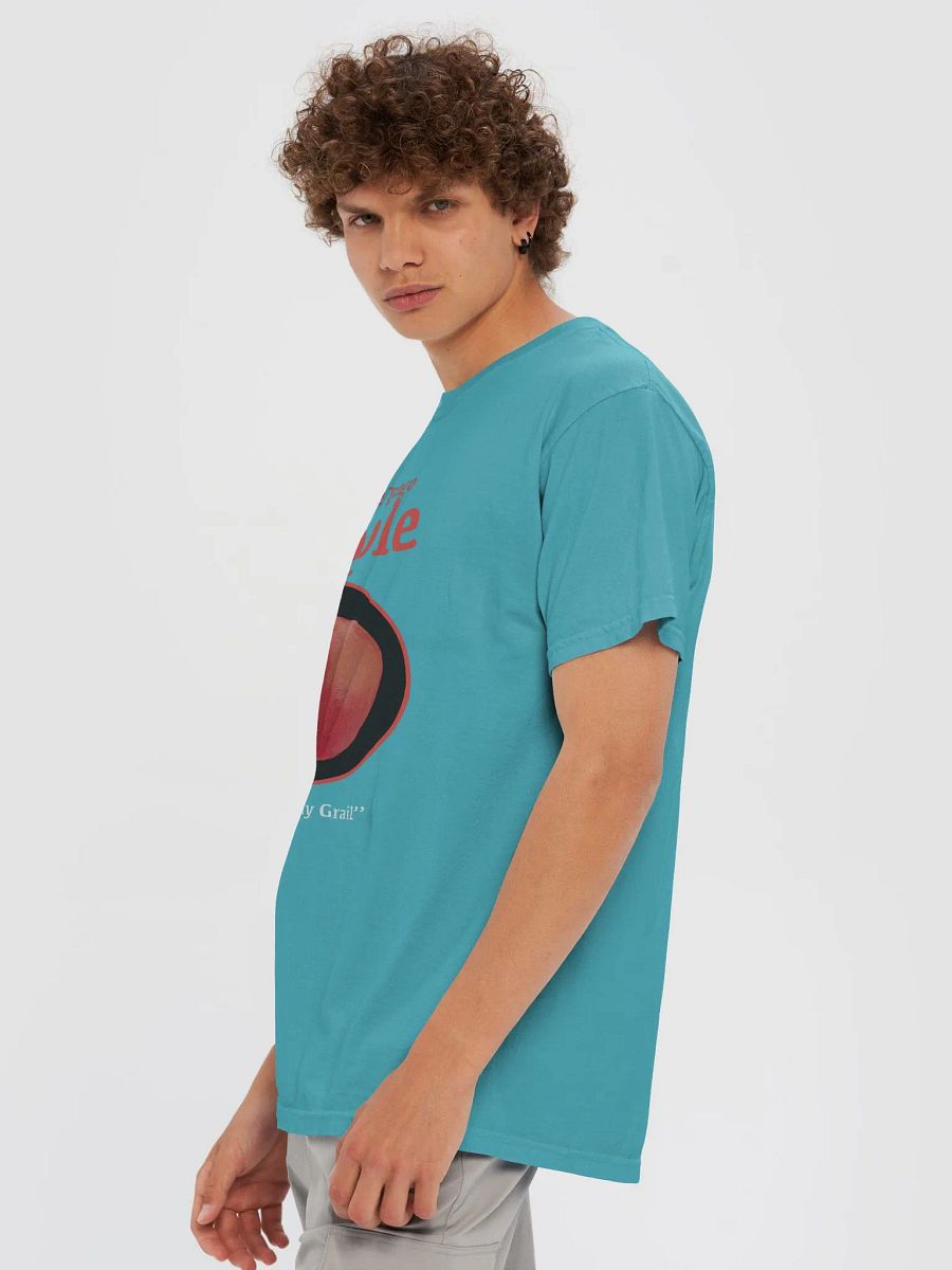 APPLE RANKINGS: SWEETANGO APPLE T-SHIRT (Regular Fit) product image (14)