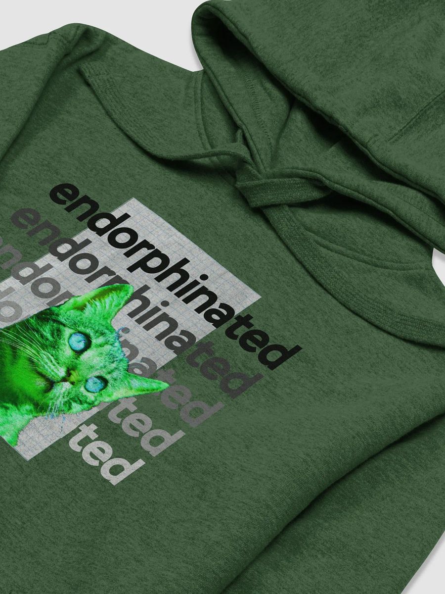 Endorphinated Hoodie product image (5)