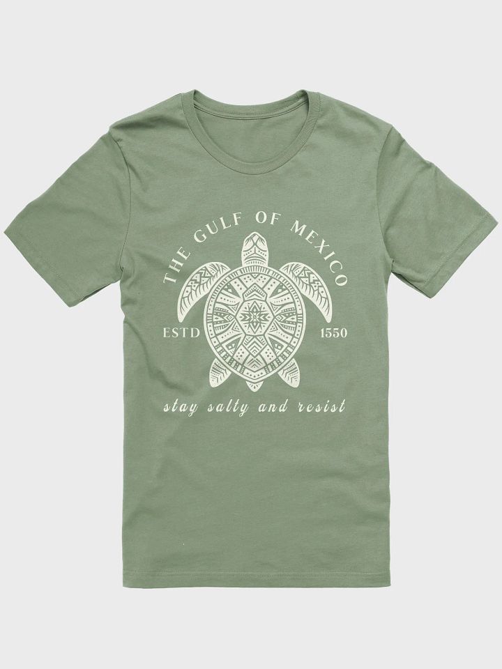 Gulf Of Mexico Sea Turtle Tee product image (38)