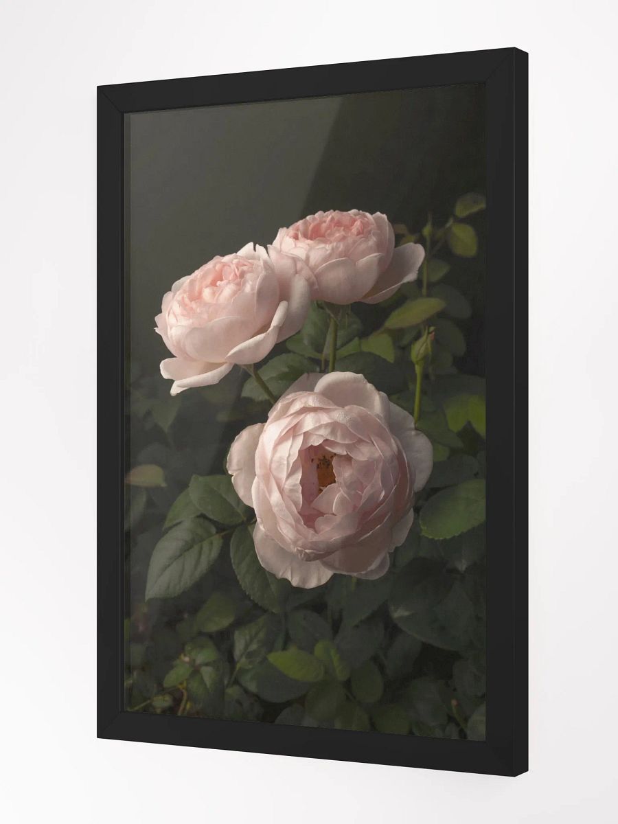 Trio of Roses product image (4)