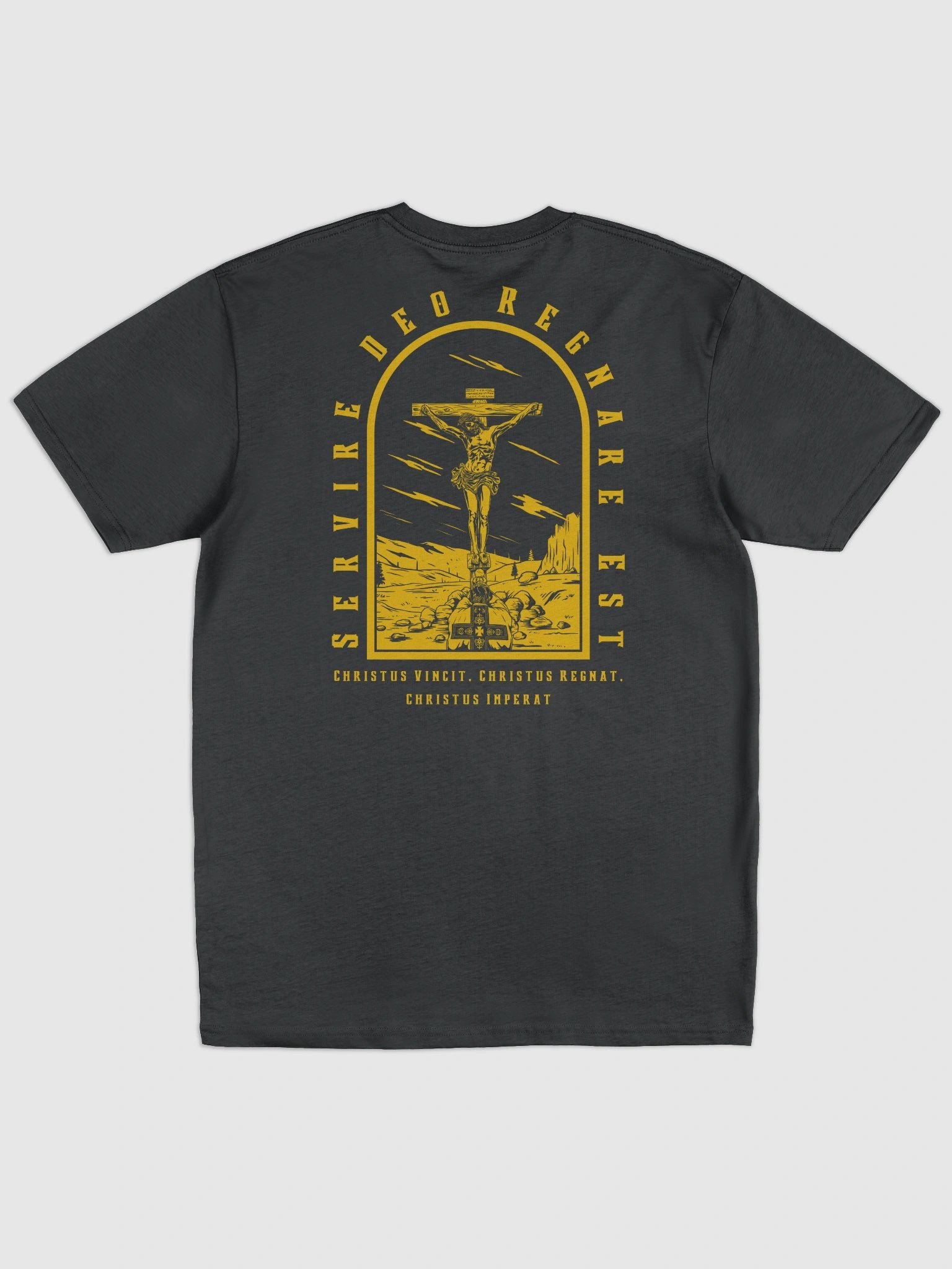 To Serve God is to Reign! - Heavy Tee product image (1)