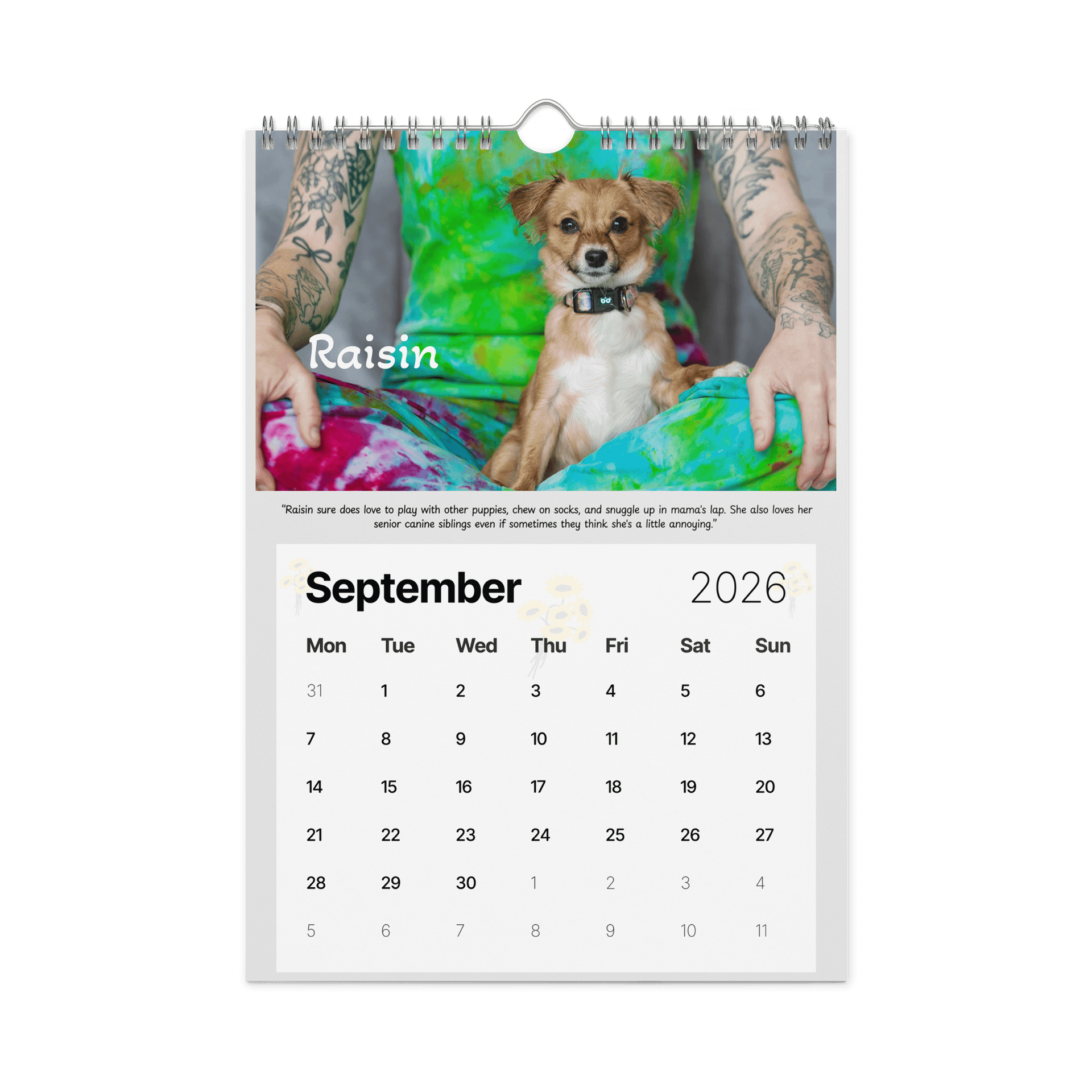 2026 Saving Great Animals Rescue Calendar product image (12)