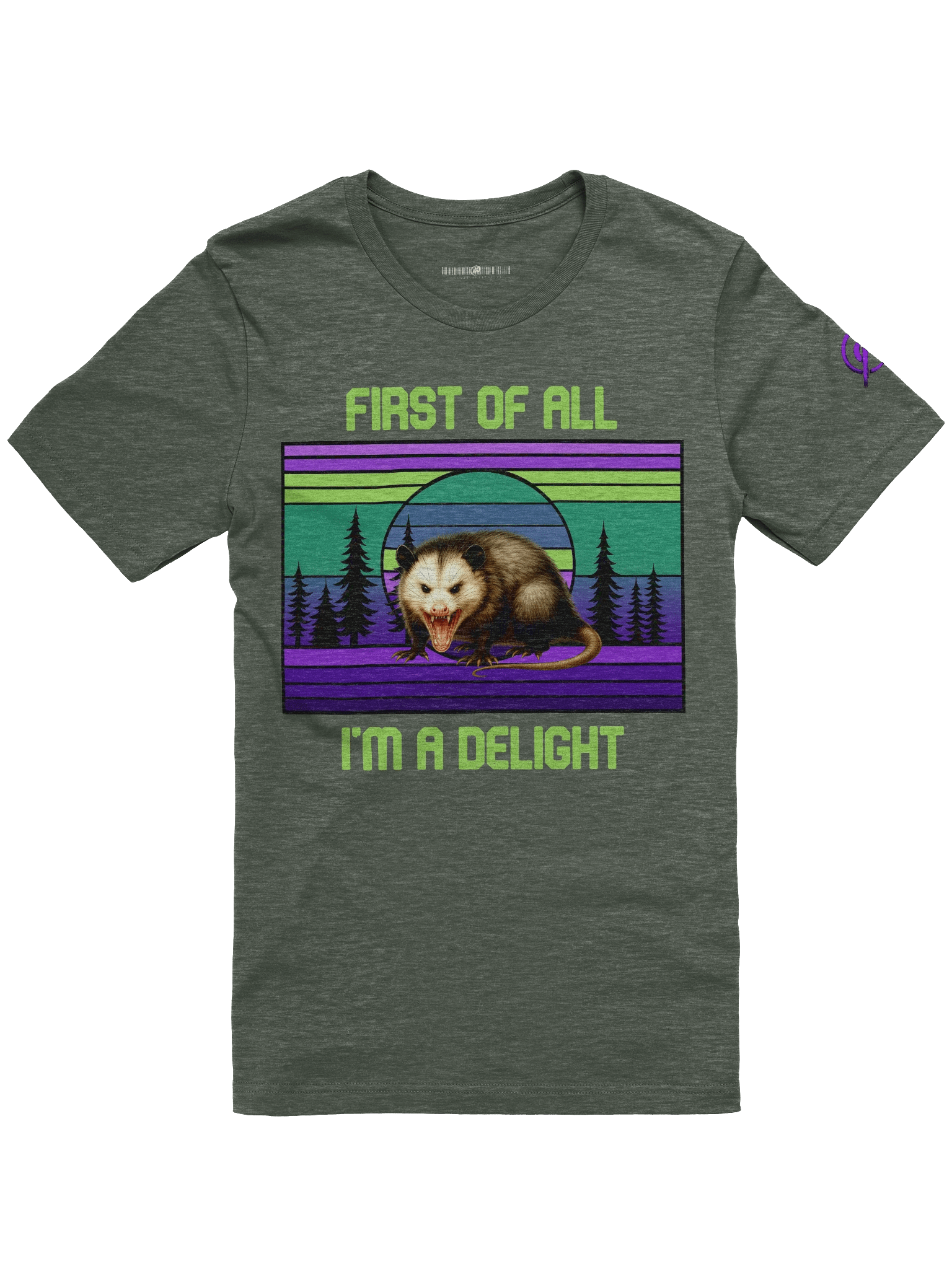 PASP Possum “I’m A Delight” Tee – Signature Colors product image (5)