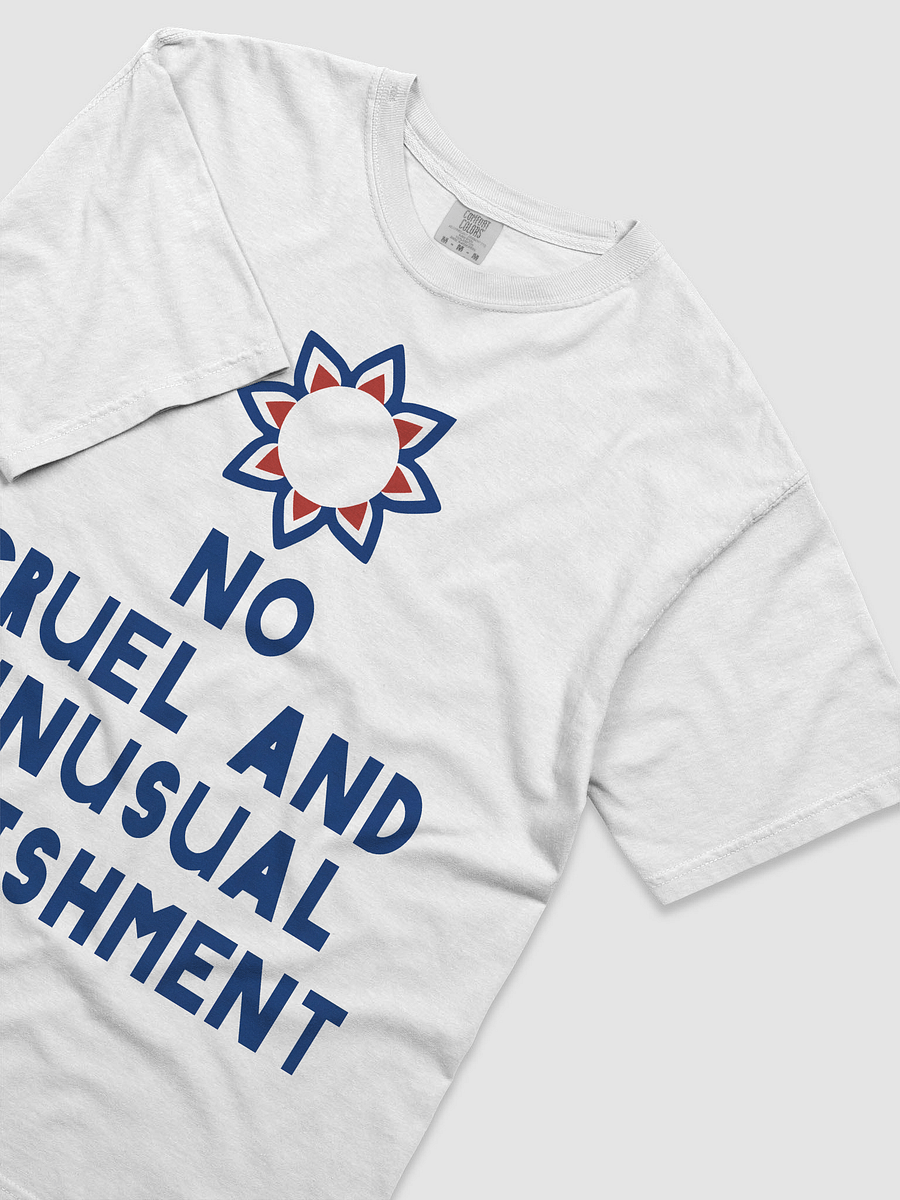 No Cruel and Unusual Punishment t-shirt product image (2)