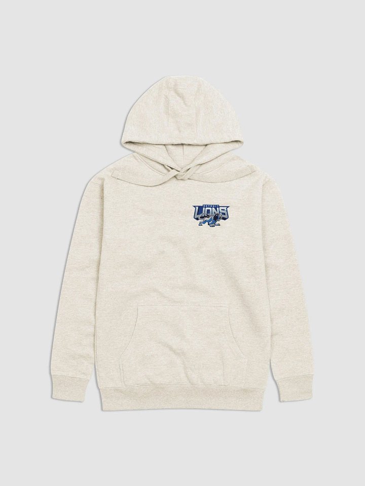 detroit lions Hoodie product image (1)