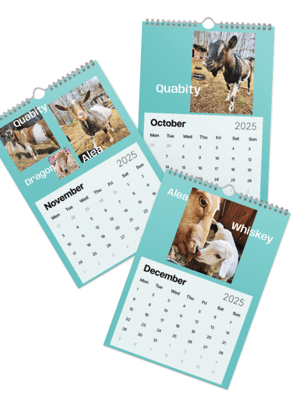 BrowncoatGoat Barn's Goats of 2025 product image (2)
