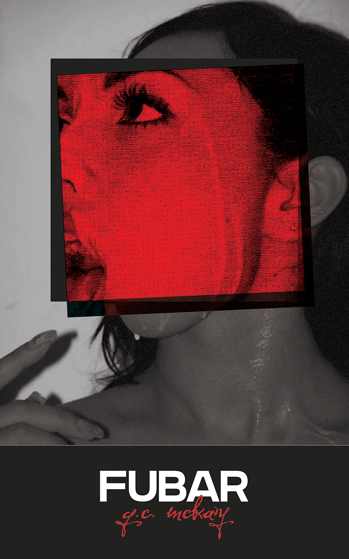 fubar (hardcover) product image (1)