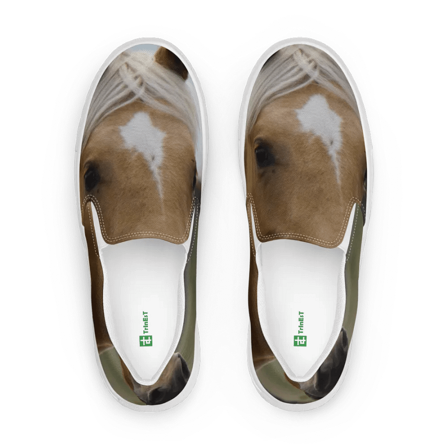 Horse on a Shoe product image (1)