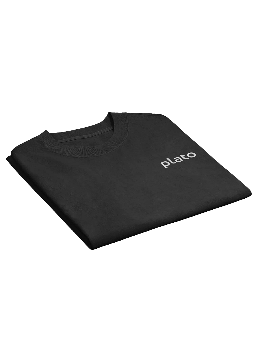 Plato Retro Faded Tee product image (3)