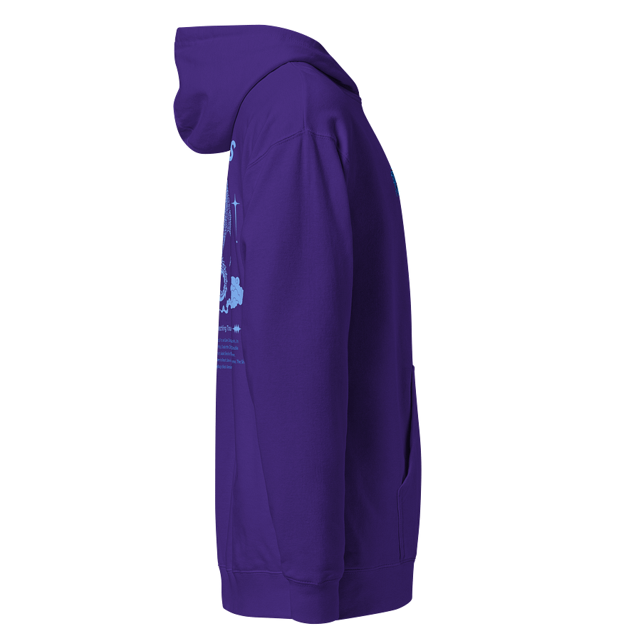 Niya and the Lator's V1 Embroidered Hoodie product image (4)