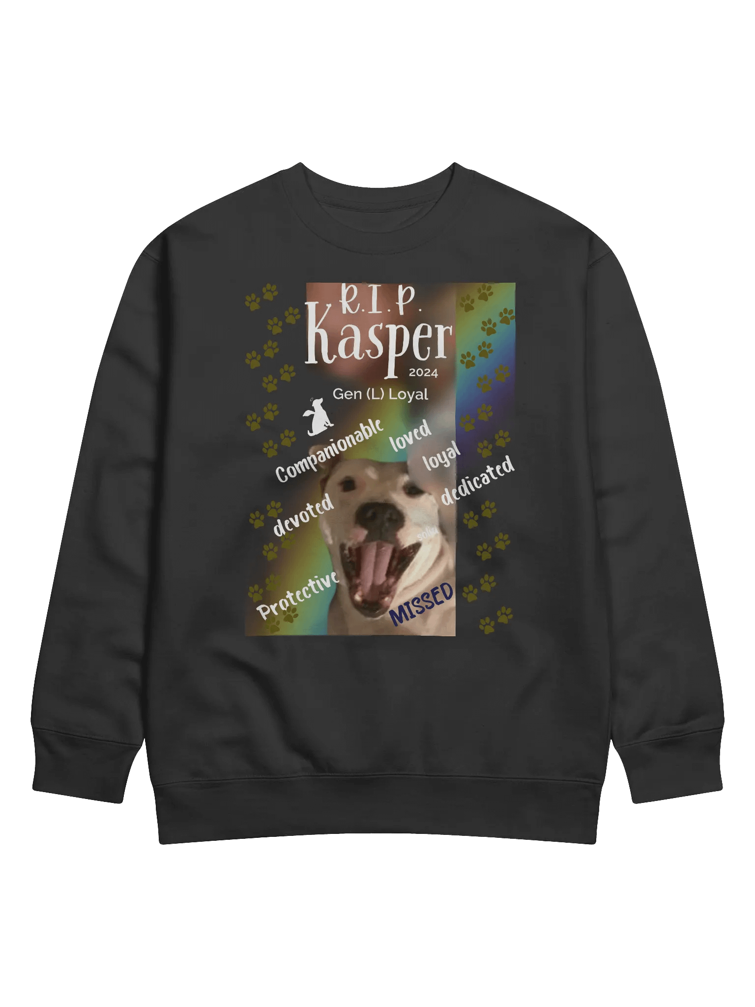 Rainbow Memorial Tribute Sweatshirt product image (1)