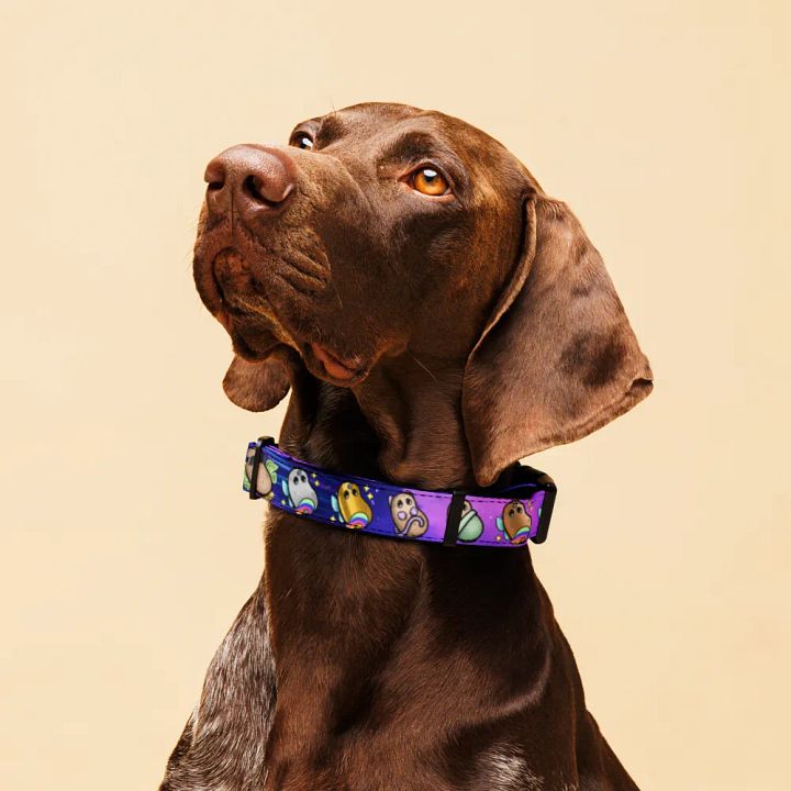 ''patates intergalactiques'' Collier pour animal (L) product image (2)