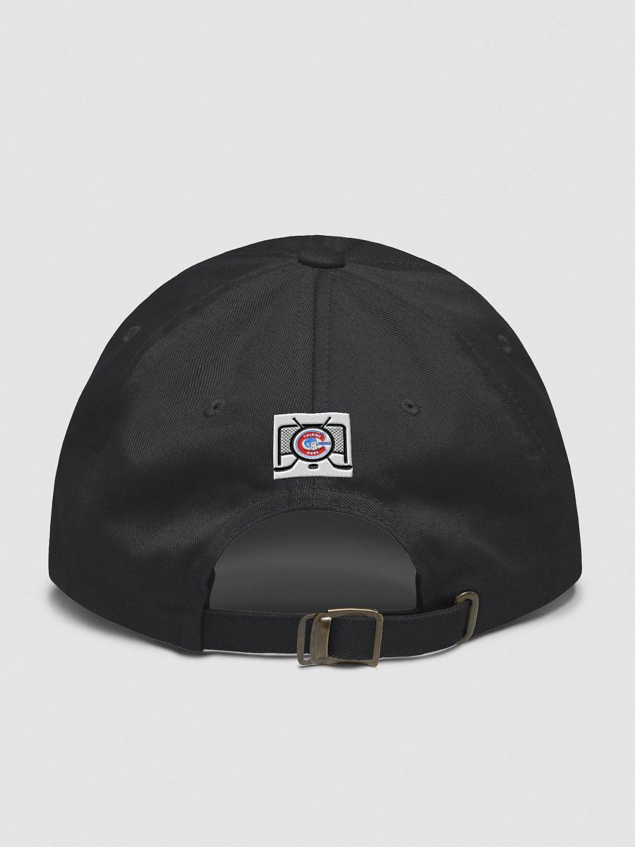 "Your Daily Fix & THM Logo" Hat product image (2)