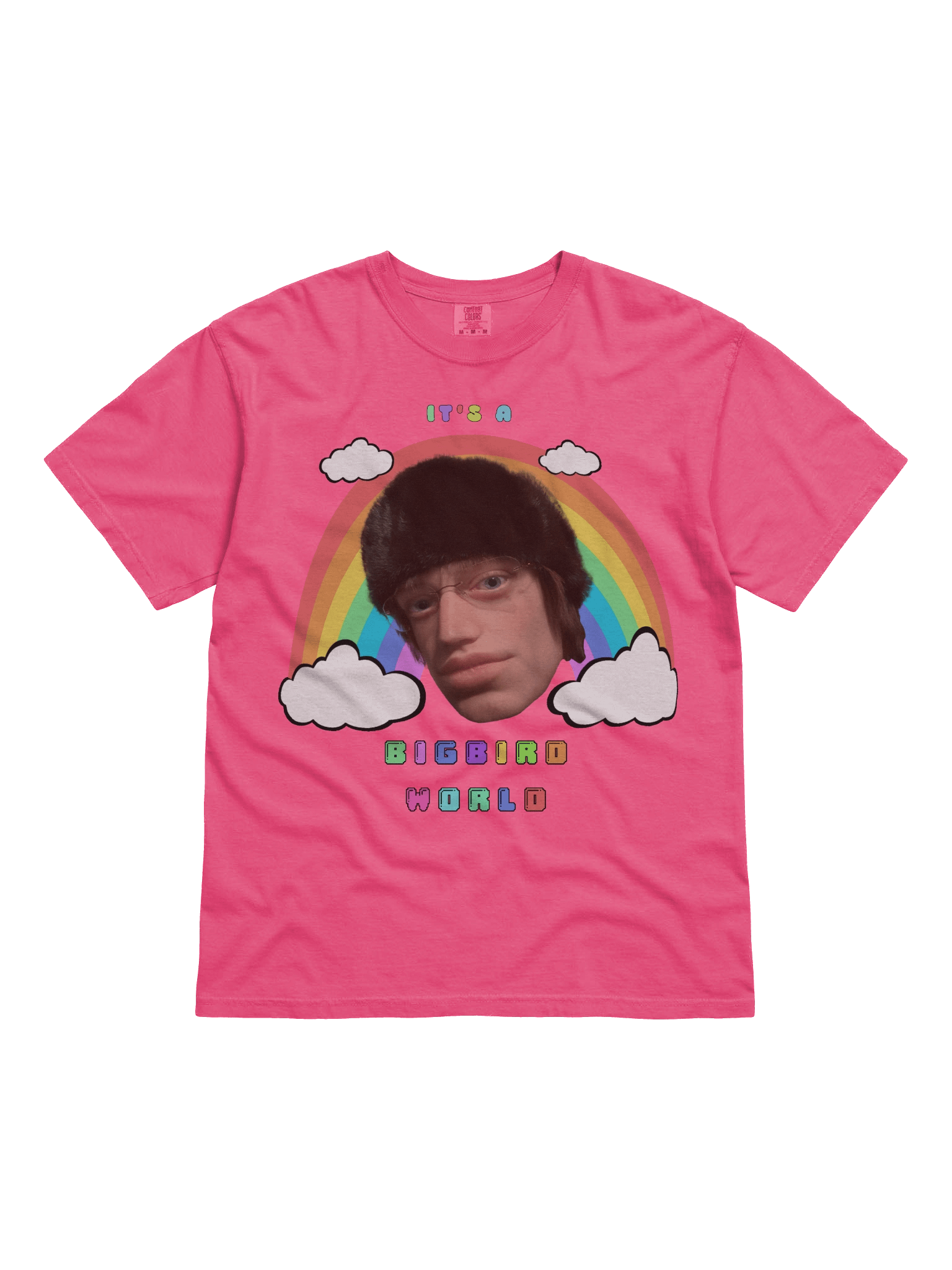 "IT'S A BIGBIRDWORLD" T-SHIRT product image (1)