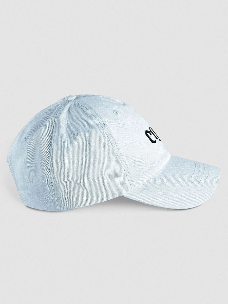 Pastel Cash Dad Hat product image (13)