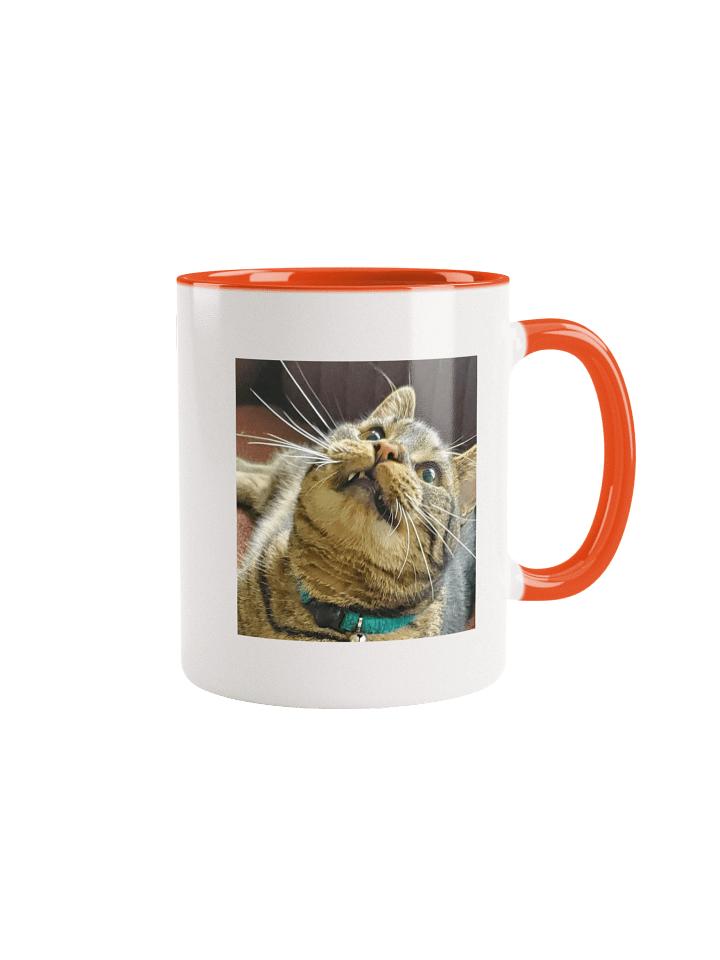 Gar Zoomy Juice Ceramic 11oz Mug 2 product image (21)