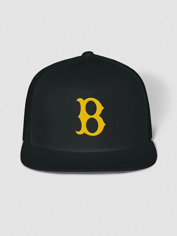 BONGS 4 KITTIES SNAPBACK HAT product image (1)