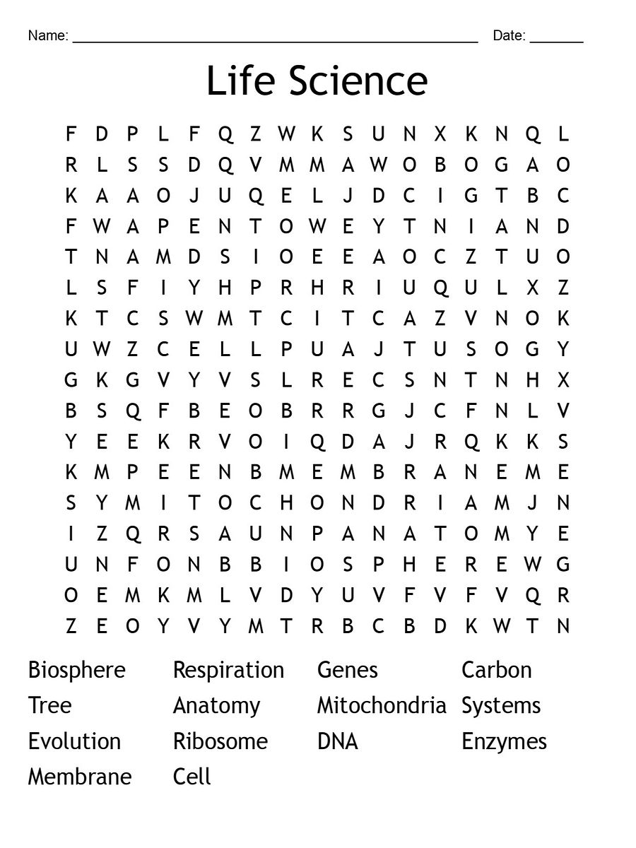 Life Science Word Search Puzzle – Fun & Educational Activity product image (2)
