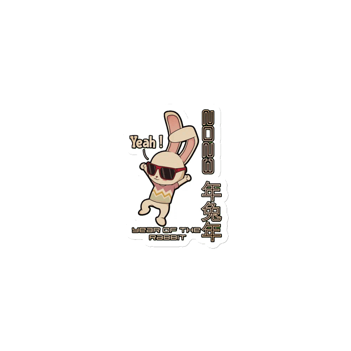 2023 YEAR OF THE RABBIT product image (1)