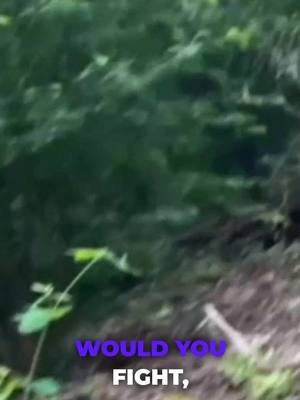 What is tick tock without fighting for what is right? You better stomp out the fire, or I'm going to burn all your trends down. #leadership #strategy #resilience #challenges #decisionmaking #strategy #decisionmaking #leadership #FightOrFlight #WouldYouFight #POV #ShortsChallenge #ThisOrThat #FightOrHide #Viral #Trending #FYP #ReedsOfTheBall