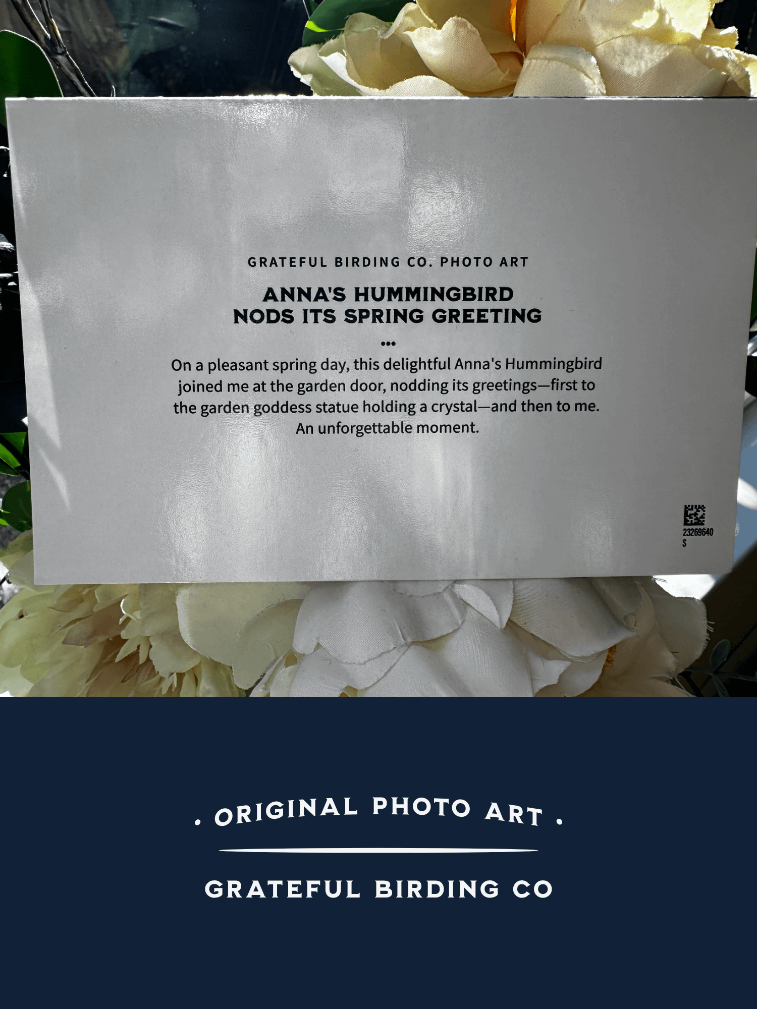 Anna's Hummingbird Nods Its Spring Greeting - Notecard product image (5)