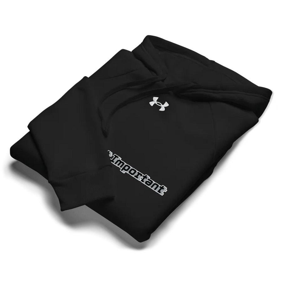 Unisex Hoodie - Mr I'm Not Important product image (33)