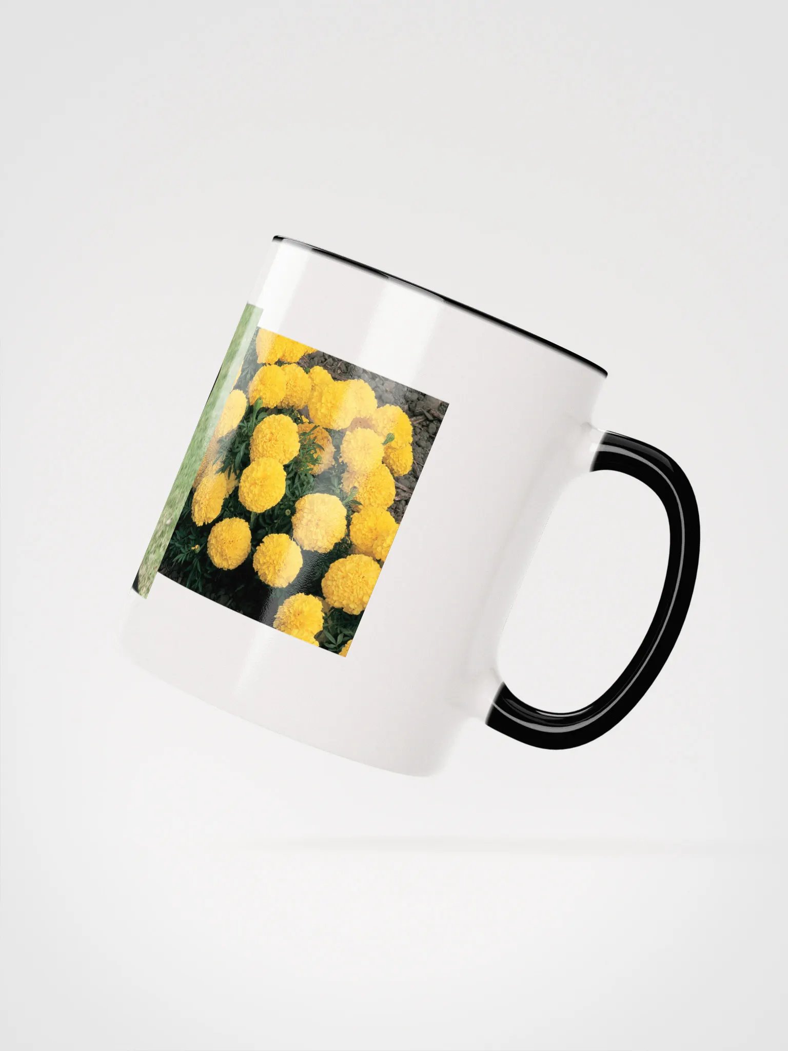 sunshine product image (7)