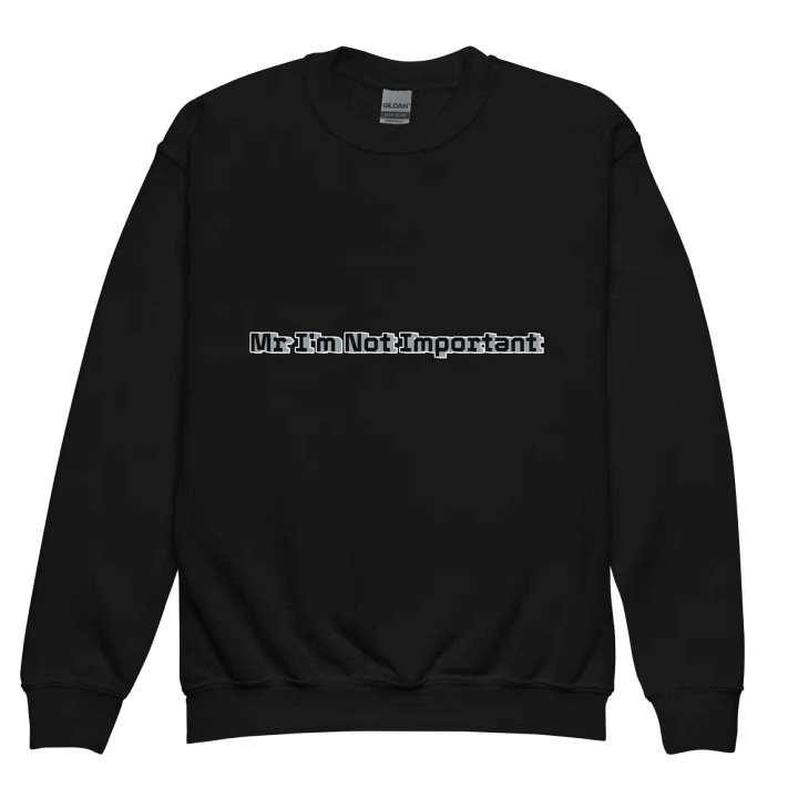 Youth Crew Neck Sweatshirt - Mr I'm Not Important product image (2)