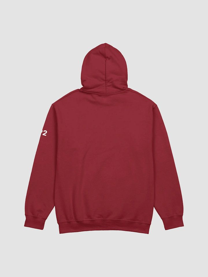 #92 Unisex Team Hoodie product image (2)