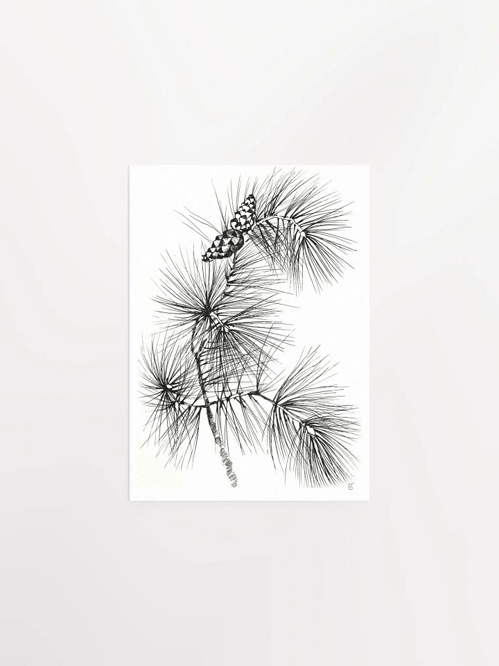 Pine Branch Serenity Poster - Pine Branch and Cones product image (3)