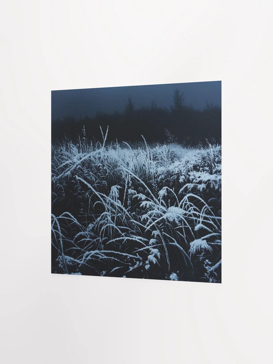 Cold Snap product image (7)