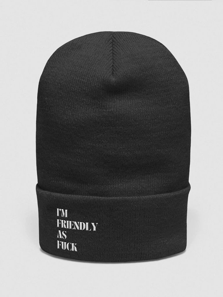 Friendly Beanie product image (3)