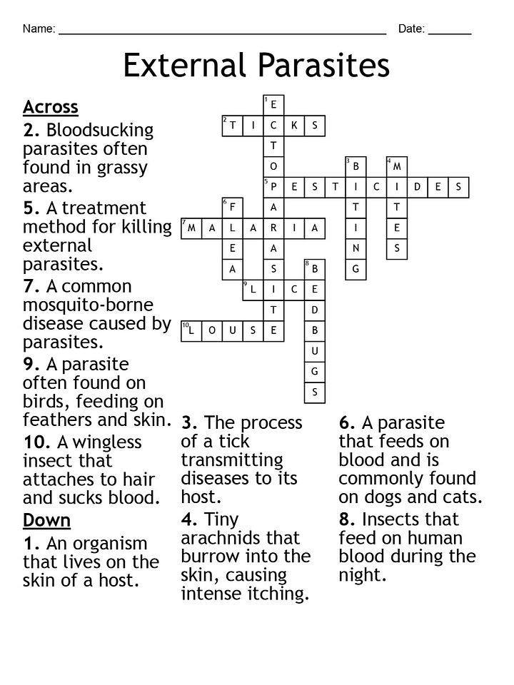 External Parasites Crossword Puzzle: Engaging Life Science Activity product image (2)