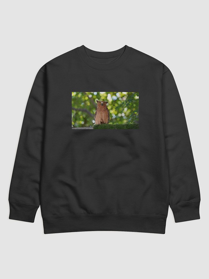 Mystic Owl Premium Sweatshirt product image (1)