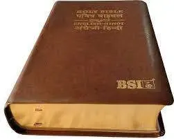 Hindi English Bible Diglot product image (1)