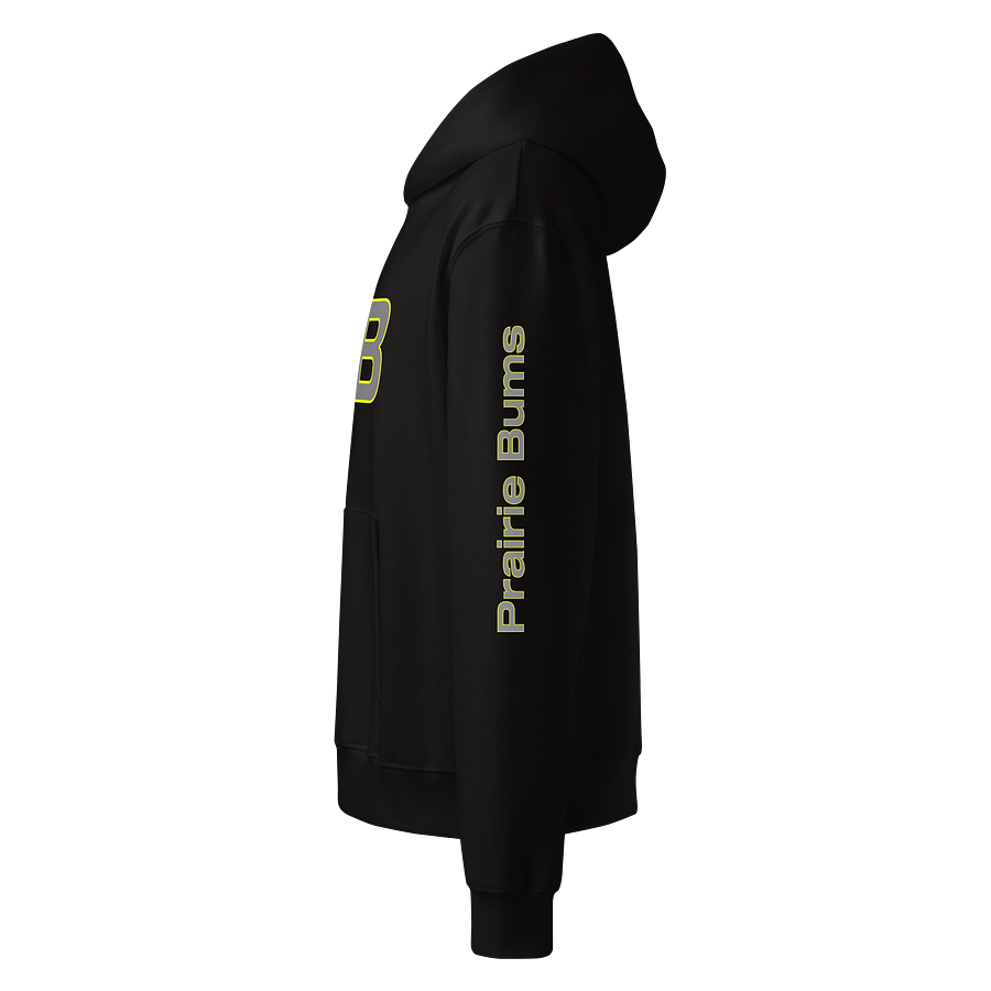 OG Logo Premium Heavyweight Hoodie DTS product image (7)