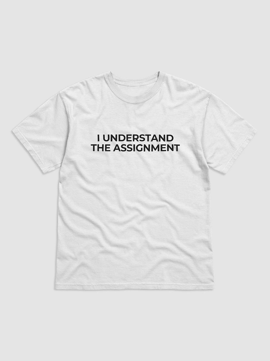 I Understand The Assignment - T-Shirt product image (2)