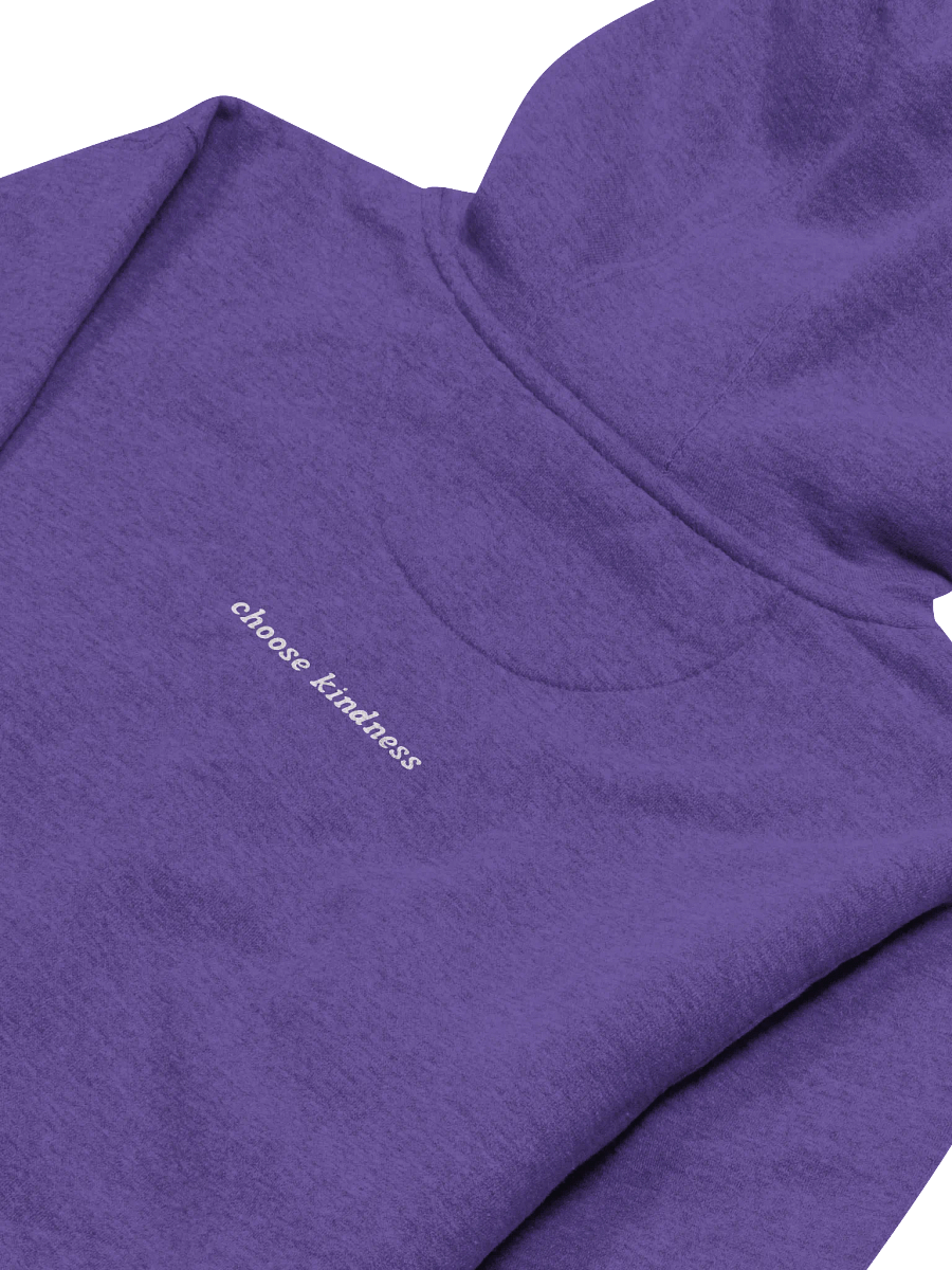 The Dandy Dreamer Hoodie product image (28)