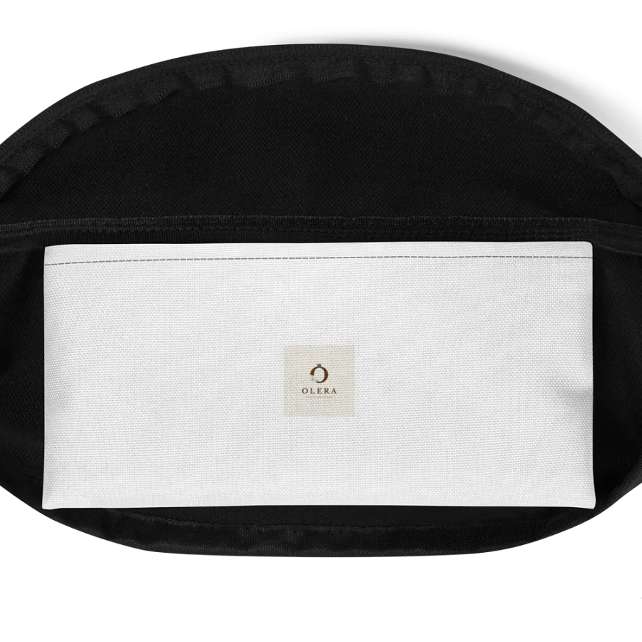 Urban | Fanny bag product image (7)