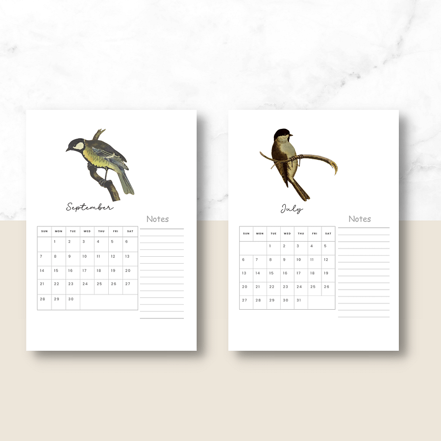 2025-2026 PDF Calendar: American Birds product image (7)