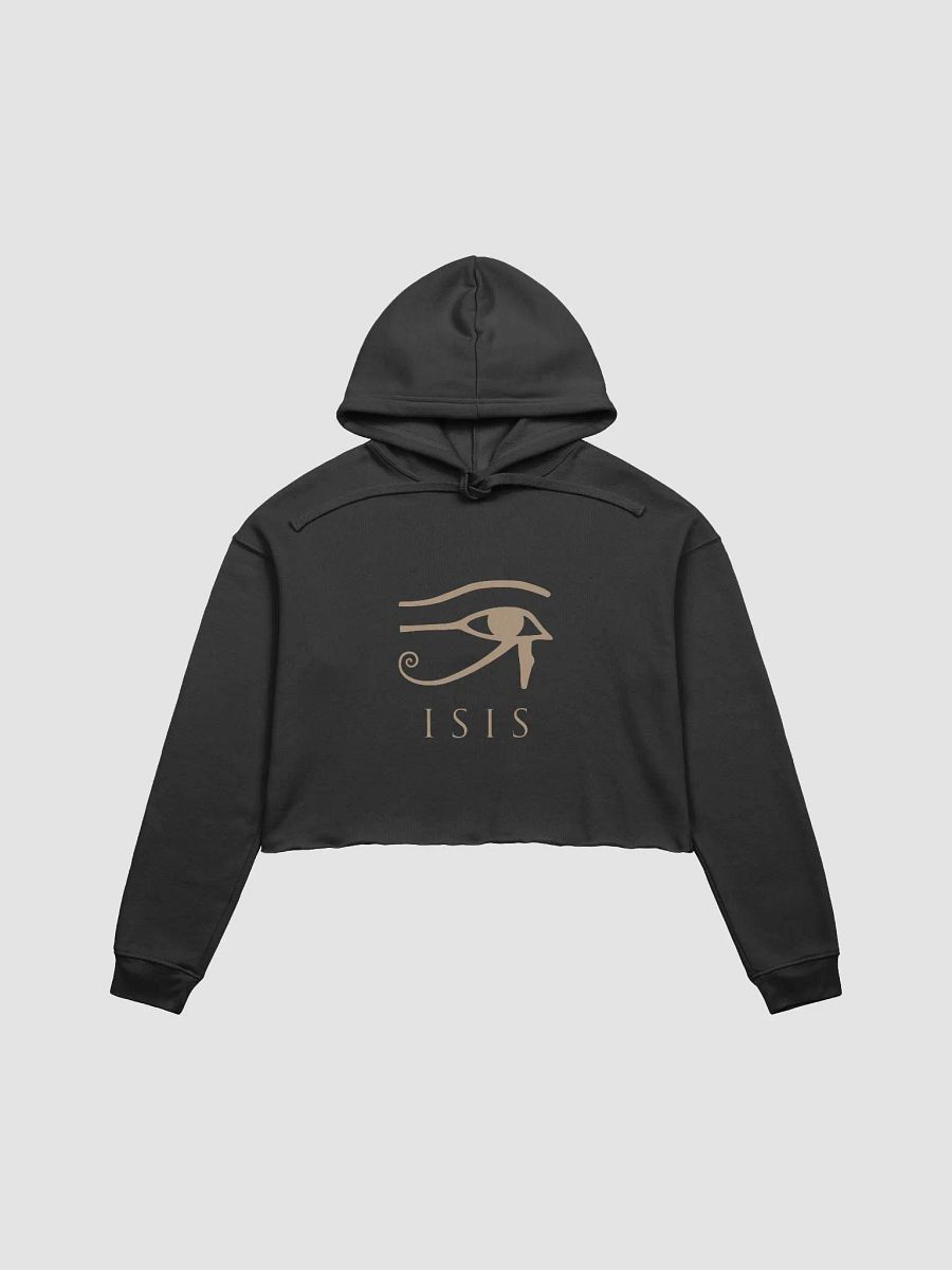 Isis Multicolor Crop Top Fleece Hoodie Fitness Training product image (1)